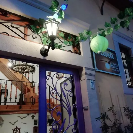 Kispet Marti Boutique Guest house