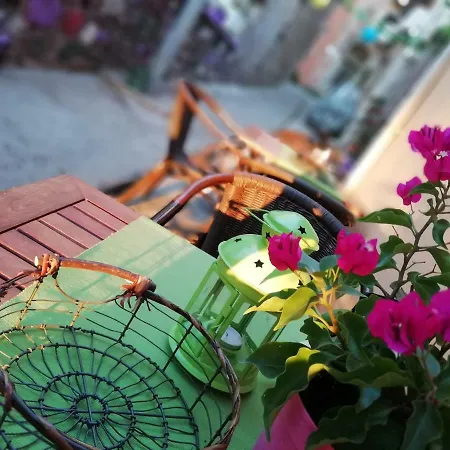 Kispet Marti Boutique Guest house